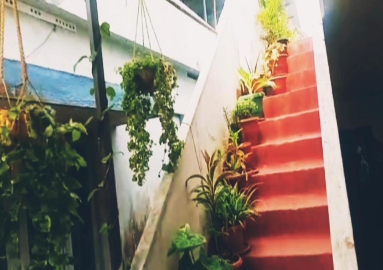 Raelyn'S Homestay Kochi Εξωτερικό φωτογραφία